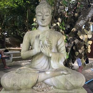 Meet your Posher, Eva